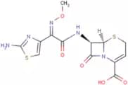 Ceftizoxime