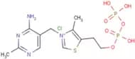 Thiamine pyrophosphate chloride