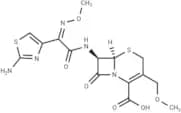 Cefpodoxime (free acid)