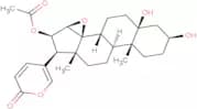 Cinobufotalin