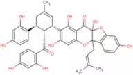 Sanggenon C