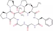 Heterophyllin B