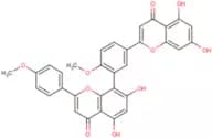 ISOGINKGETIN