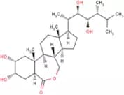 Epibrassinolide