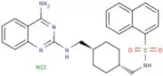 CGP71683 hydrochloride