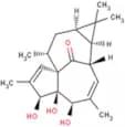 20-DEOXYINGENOL