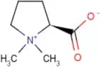 Stachydrine