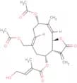 Eupalinolide A