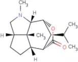 Dendrobine