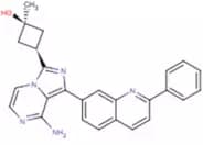 Linsitinib