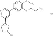 PF-07038124 HCl