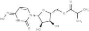 Molnupiravir