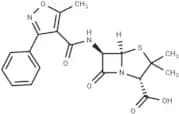 Oxacillin