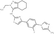 γ-Secretase modulator 13