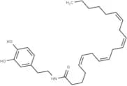 N-Arachidonyldopamine