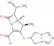 Biapenem