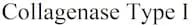 Collagenase Type I