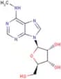 N6-methyladenosine
