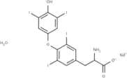 L-Thyroxine sodium xhydrate
