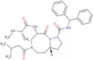 Xevinapant