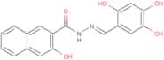 Hydroxy-Dynasore