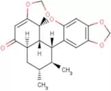 Sauchinone