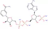 NADPH tetrasodium salt
