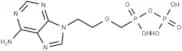 Adefovir diphosphate
