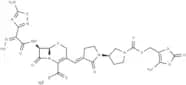 Ceftobiprole medocaril sodium