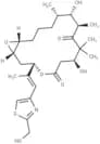 Epothilone E