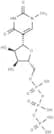 N1-Methylpseudouridine-5'-triphosphate