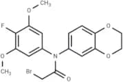 GPX4-IN-6