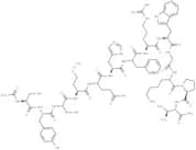 α-MSH