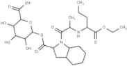 Perindopril acyl-β-D-glucuronide