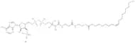 Oleoyl coenzyme A lithium
