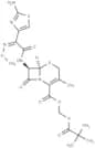 Cefetamet pivoxyl