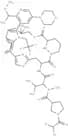KRAS G12C inhibitor 58