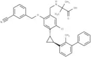PD-1/PD-L1-IN-34