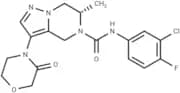 HBV-IN-41