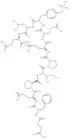 Succinyl-(Pro58,D-Glu65)-Hirudin (56-65) (sulfated)