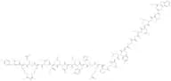 Galanin (1-13)-Neuropeptide Y (25-36) amide
