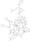μ-Conotoxin PIIIA