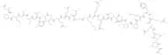 Calpastatin subdomain B