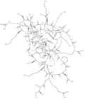 Spinoxin