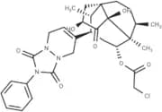 Ferroptocide