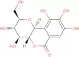 norbergenin