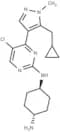 Casein Kinase inhibitor A51