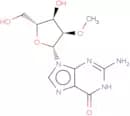2'-OMe-Guanosine
