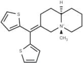 Tiquizium