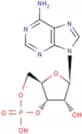 Cyclic AMP